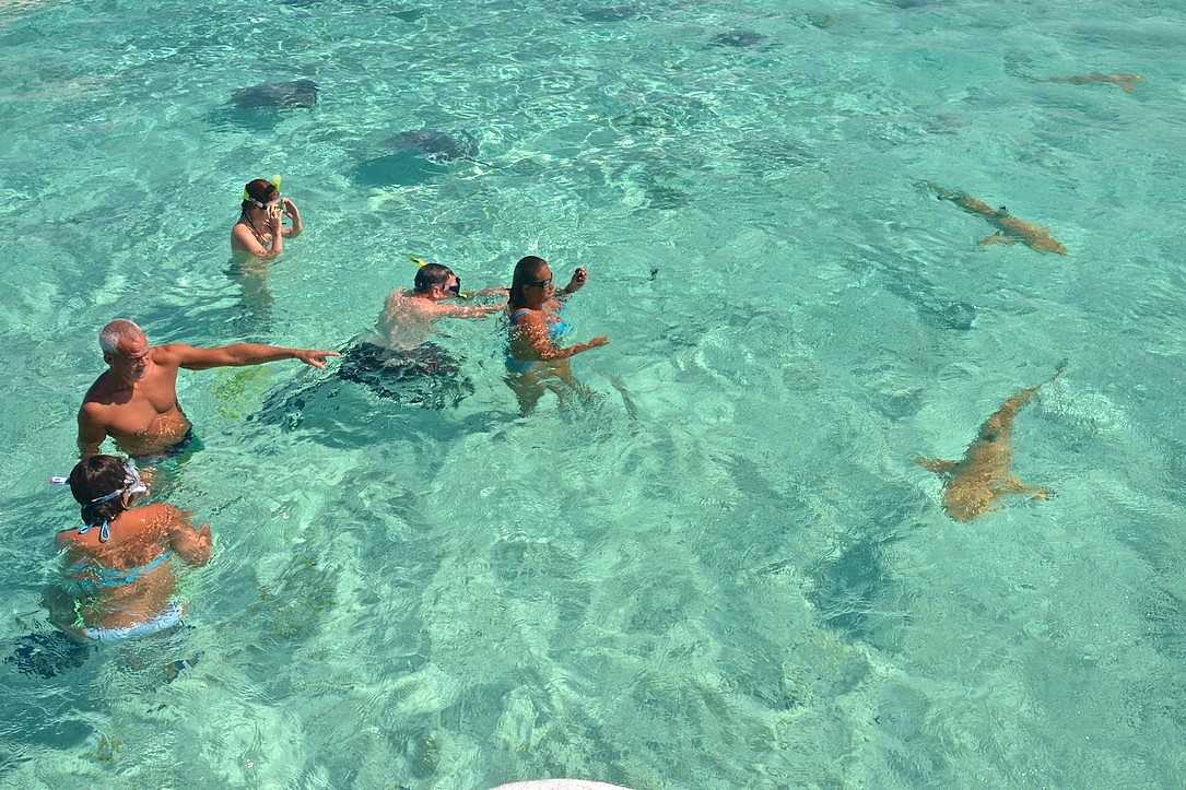 bora-bora-snorkeling