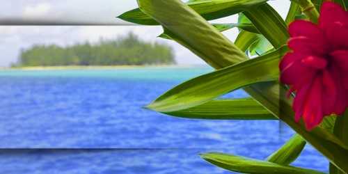 bora-bora-dream-island