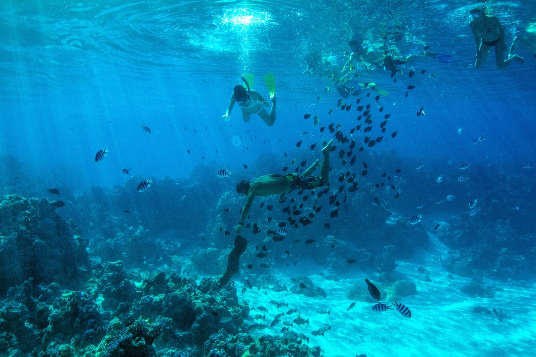 bora-bora-public-snorkeling-diving