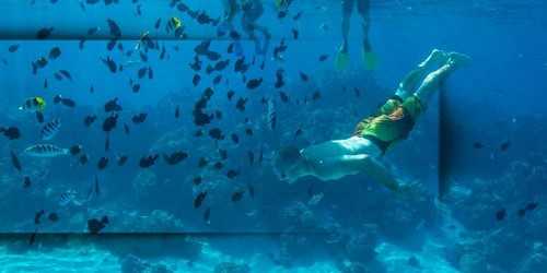 diving-snorkeling-bora-bora-activities