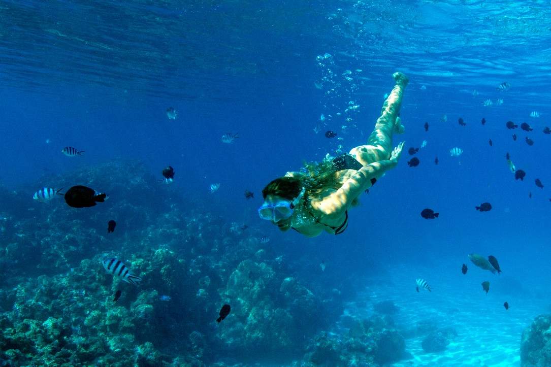 plonge-bora-bora-fond-marin