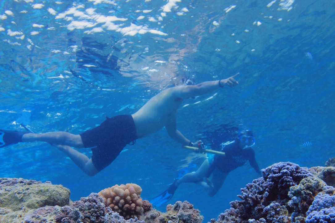 bora-bora-activities-plonge-lagonnaire